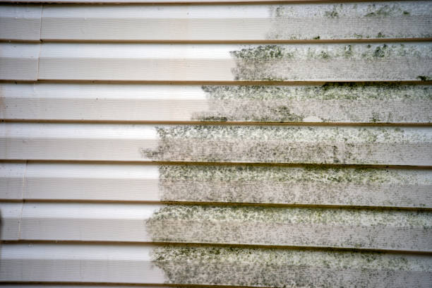 Best Custom Trim and Detailing for Siding  in Alma, GA